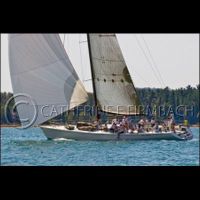CEF8236 srgb copyrt.jpg